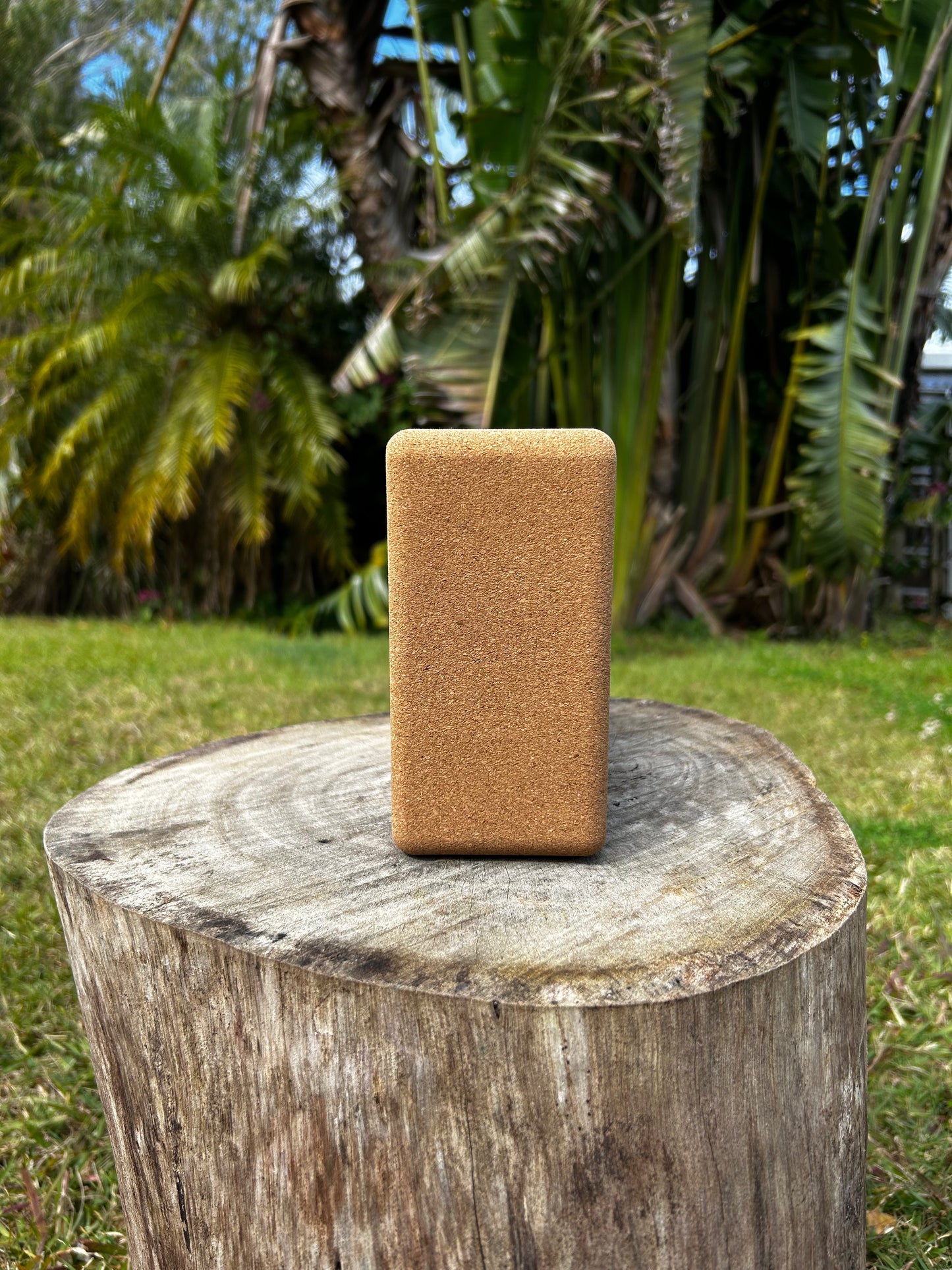 ZenCork Yoga Block