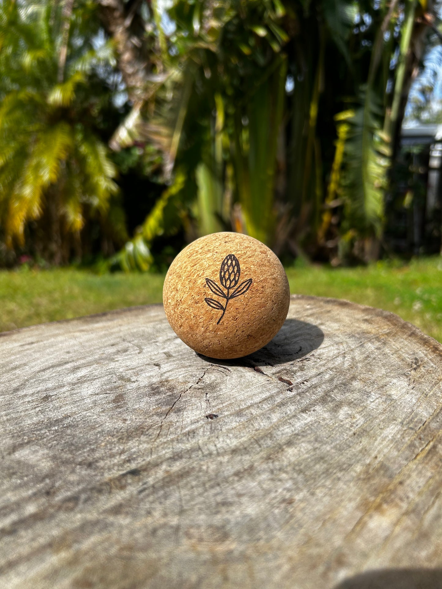 ZenCork Recovery Bundle