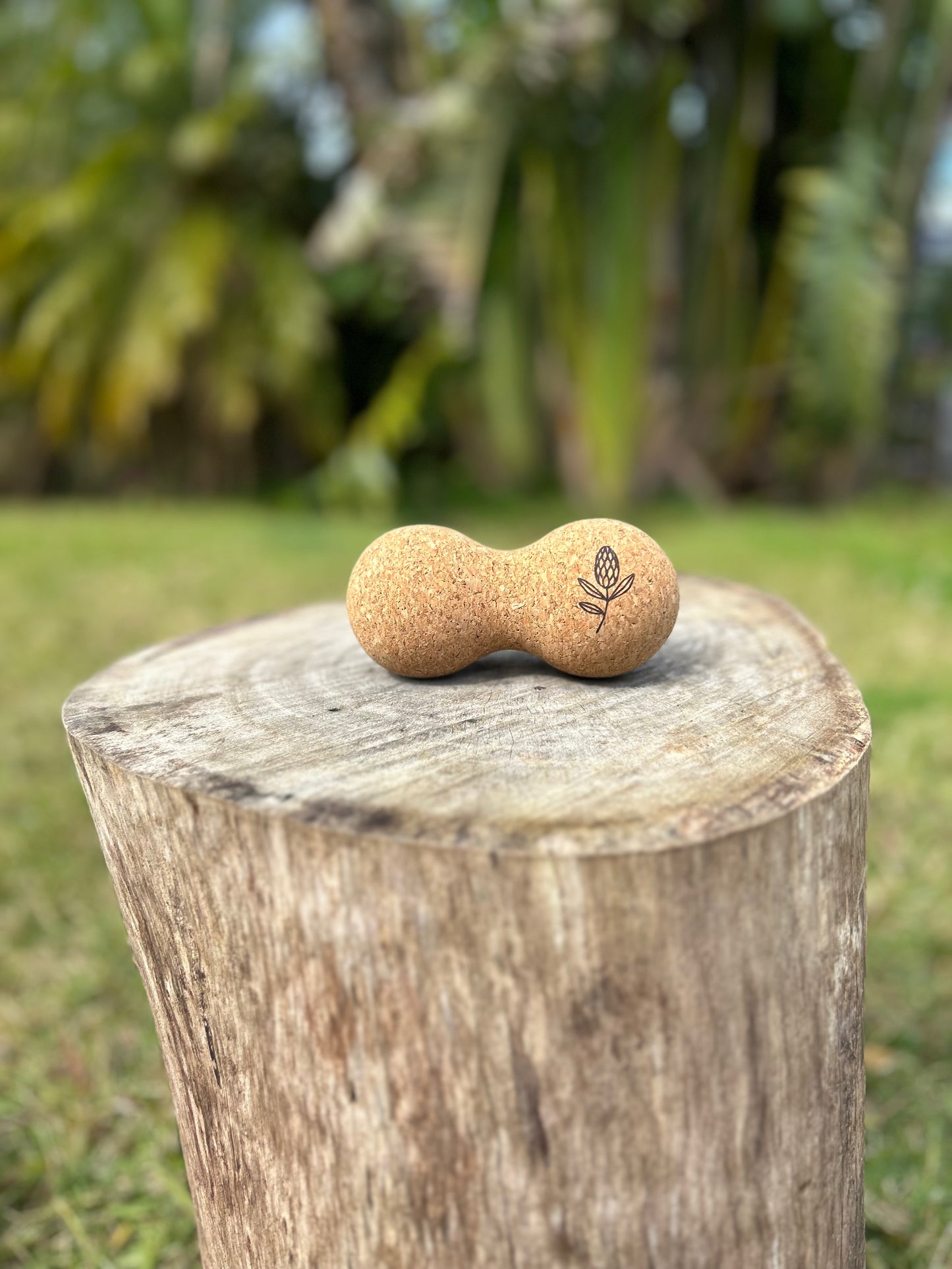 ZenCork Cork Peanut Massage Ball – Spinal Alignment & Trigger Point Roller